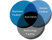 Success derives from a holistic approach