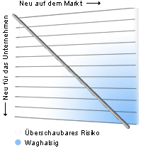 Innovationsgrad und strategisches Risiko
