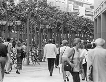 Improved Quality of Life trough Telemonitoring